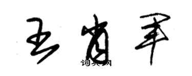 朱錫榮王肖軍草書個性簽名怎么寫