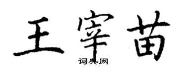 丁謙王宰苗楷書個性簽名怎么寫