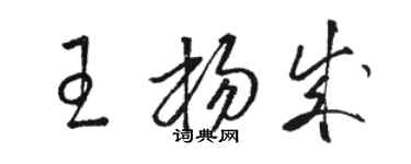 駱恆光王楊成草書個性簽名怎么寫