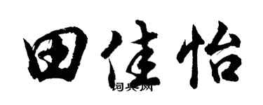 胡問遂田佳怡行書個性簽名怎么寫