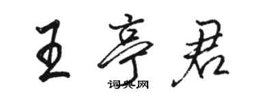 駱恆光王亭君行書個性簽名怎么寫