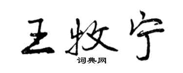 曾慶福王牧寧行書個性簽名怎么寫