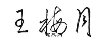 駱恆光王梅月草書個性簽名怎么寫