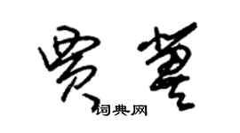 朱錫榮賈冀草書個性簽名怎么寫