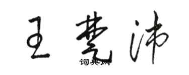 駱恆光王楚沛草書個性簽名怎么寫