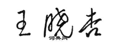 駱恆光王曉杏草書個性簽名怎么寫