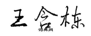 曾慶福王含棟行書個性簽名怎么寫