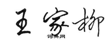 駱恆光王家柳行書個性簽名怎么寫