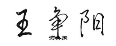 駱恆光王爭陽行書個性簽名怎么寫