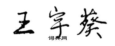 曾慶福王宇葵行書個性簽名怎么寫