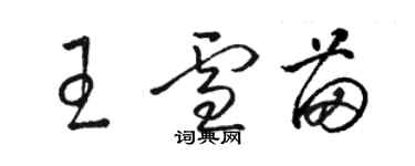 駱恆光王雪苗草書個性簽名怎么寫