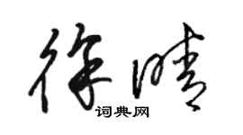 駱恆光徐晴草書個性簽名怎么寫