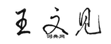 駱恆光王文見行書個性簽名怎么寫