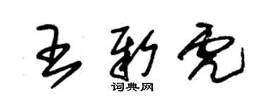 朱錫榮王新虎草書個性簽名怎么寫