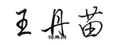 駱恆光王丹苗行書個性簽名怎么寫