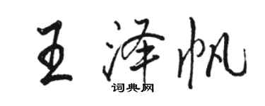 駱恆光王澤帆行書個性簽名怎么寫