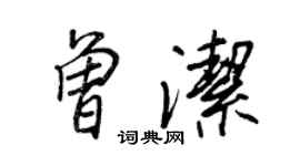 王正良曾潔行書個性簽名怎么寫