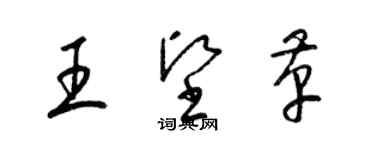 梁錦英王堅革草書個性簽名怎么寫