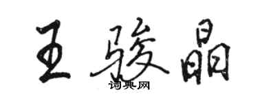 駱恆光王駿晶行書個性簽名怎么寫