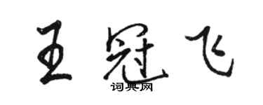 駱恆光王冠飛行書個性簽名怎么寫