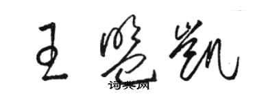 駱恆光王盟凱草書個性簽名怎么寫