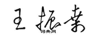 駱恆光王振桑草書個性簽名怎么寫