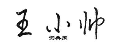 駱恆光王小帥行書個性簽名怎么寫