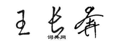 駱恆光王長奔草書個性簽名怎么寫