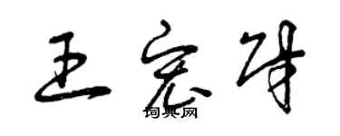 曾慶福王宏財草書個性簽名怎么寫