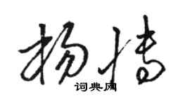 駱恆光楊博草書個性簽名怎么寫