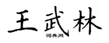 丁謙王武林楷書個性簽名怎么寫