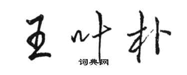 駱恆光王葉朴行書個性簽名怎么寫