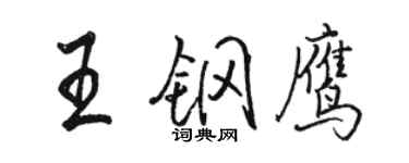 駱恆光王鋼鷹行書個性簽名怎么寫