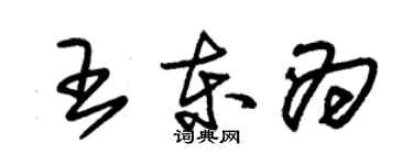 朱錫榮王東為草書個性簽名怎么寫