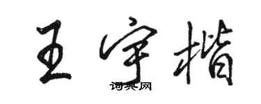 駱恆光王宇楷行書個性簽名怎么寫