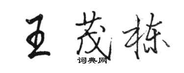 駱恆光王茂棟行書個性簽名怎么寫