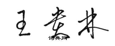 駱恆光王貴林草書個性簽名怎么寫