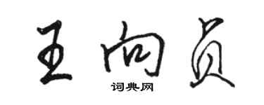 駱恆光王向貞行書個性簽名怎么寫