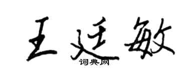 王正良王廷敏行書個性簽名怎么寫