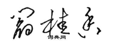 駱恆光閻桂香草書個性簽名怎么寫