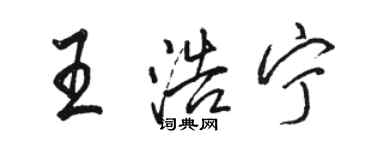 駱恆光王浩寧行書個性簽名怎么寫