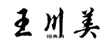 胡問遂王川美行書個性簽名怎么寫