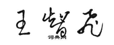 駱恆光王智飛草書個性簽名怎么寫