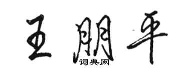 駱恆光王朋平行書個性簽名怎么寫