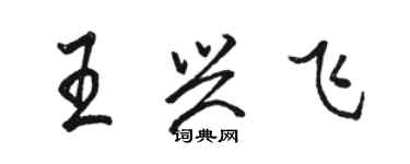 駱恆光王興飛行書個性簽名怎么寫