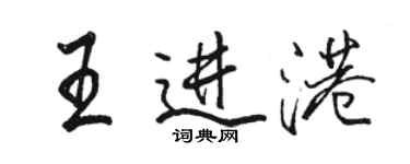 駱恆光王進港行書個性簽名怎么寫