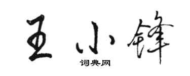 駱恆光王小鋒行書個性簽名怎么寫