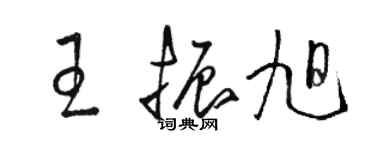 駱恆光王振旭草書個性簽名怎么寫