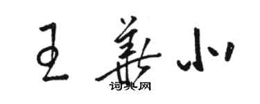 駱恆光王華北草書個性簽名怎么寫