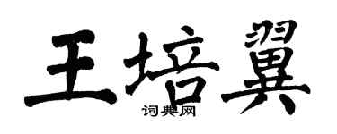 翁闓運王培翼楷書個性簽名怎么寫